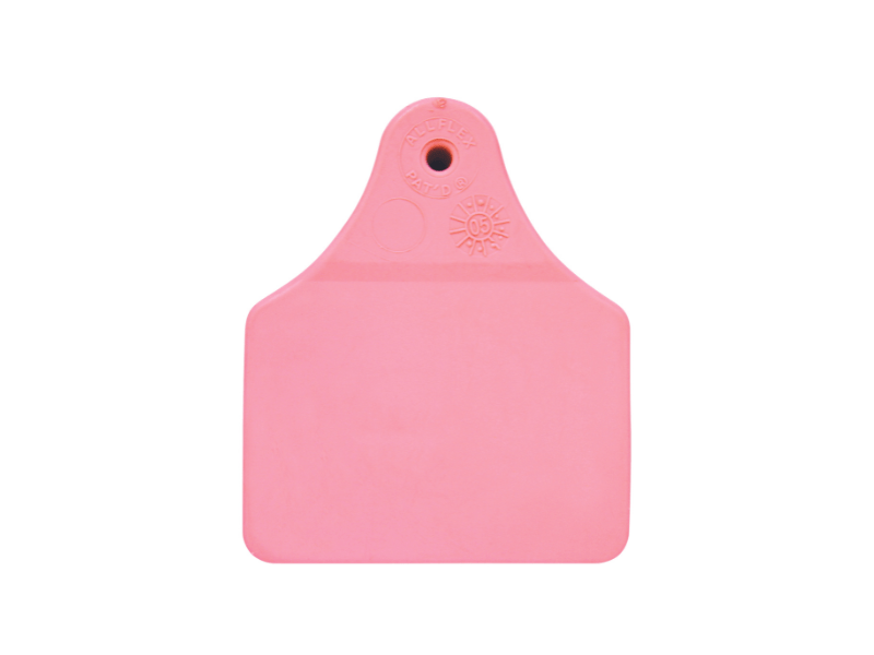 Allflex Large Male Pink