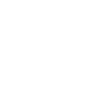 Cow Reproduction