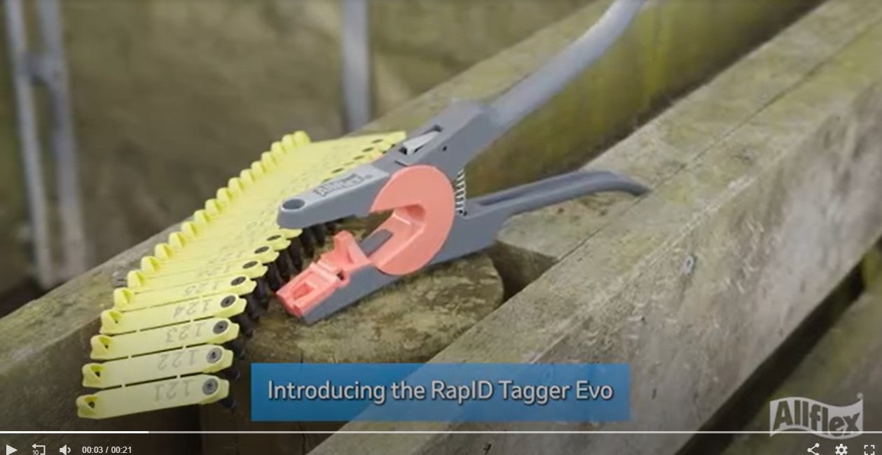 RapID Tagger Evo Review