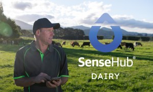 SenseHub Dairy