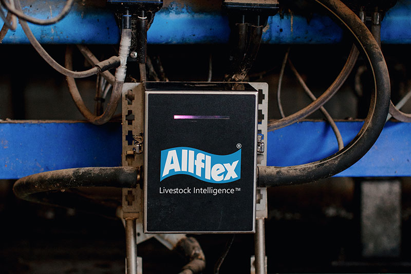 Allflex Milk