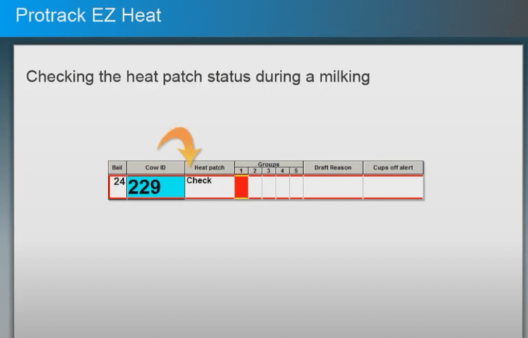Milking with EZ Heat