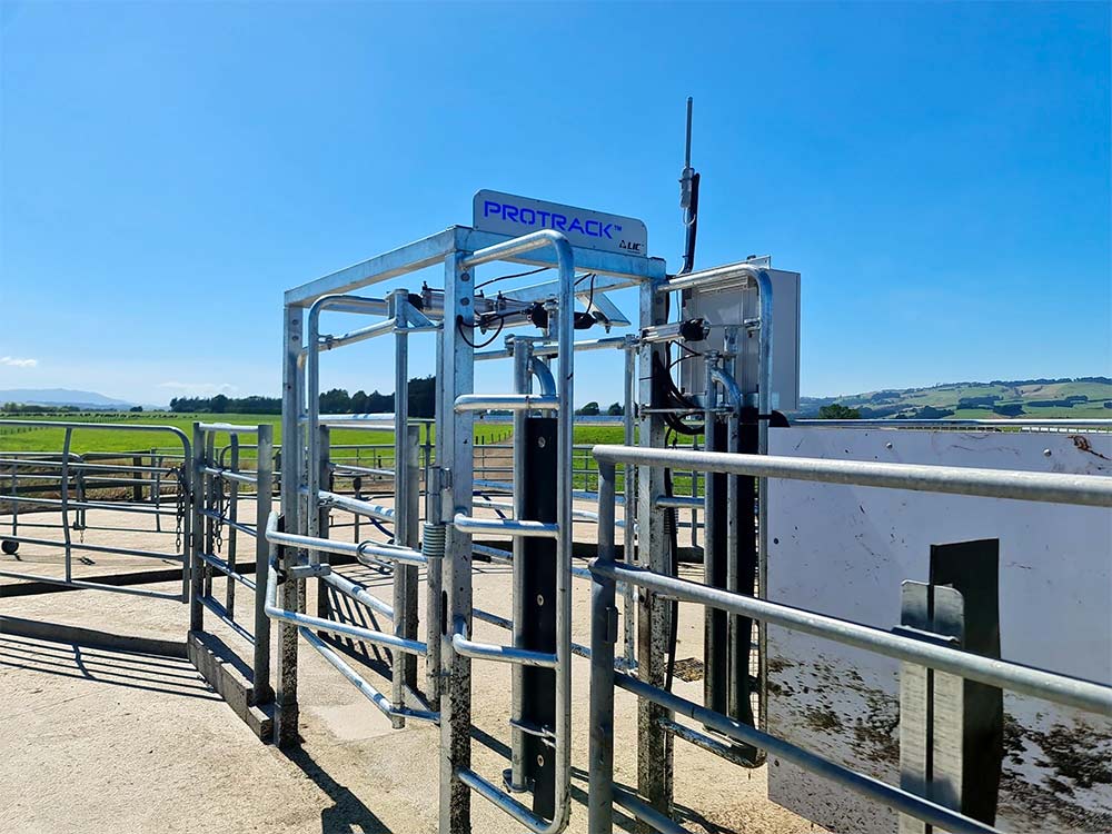 Protrack® Draft Gate Allflex