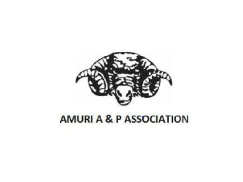 Amuri A and P association logo