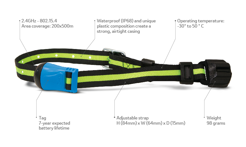 Allflex Collar Diagram