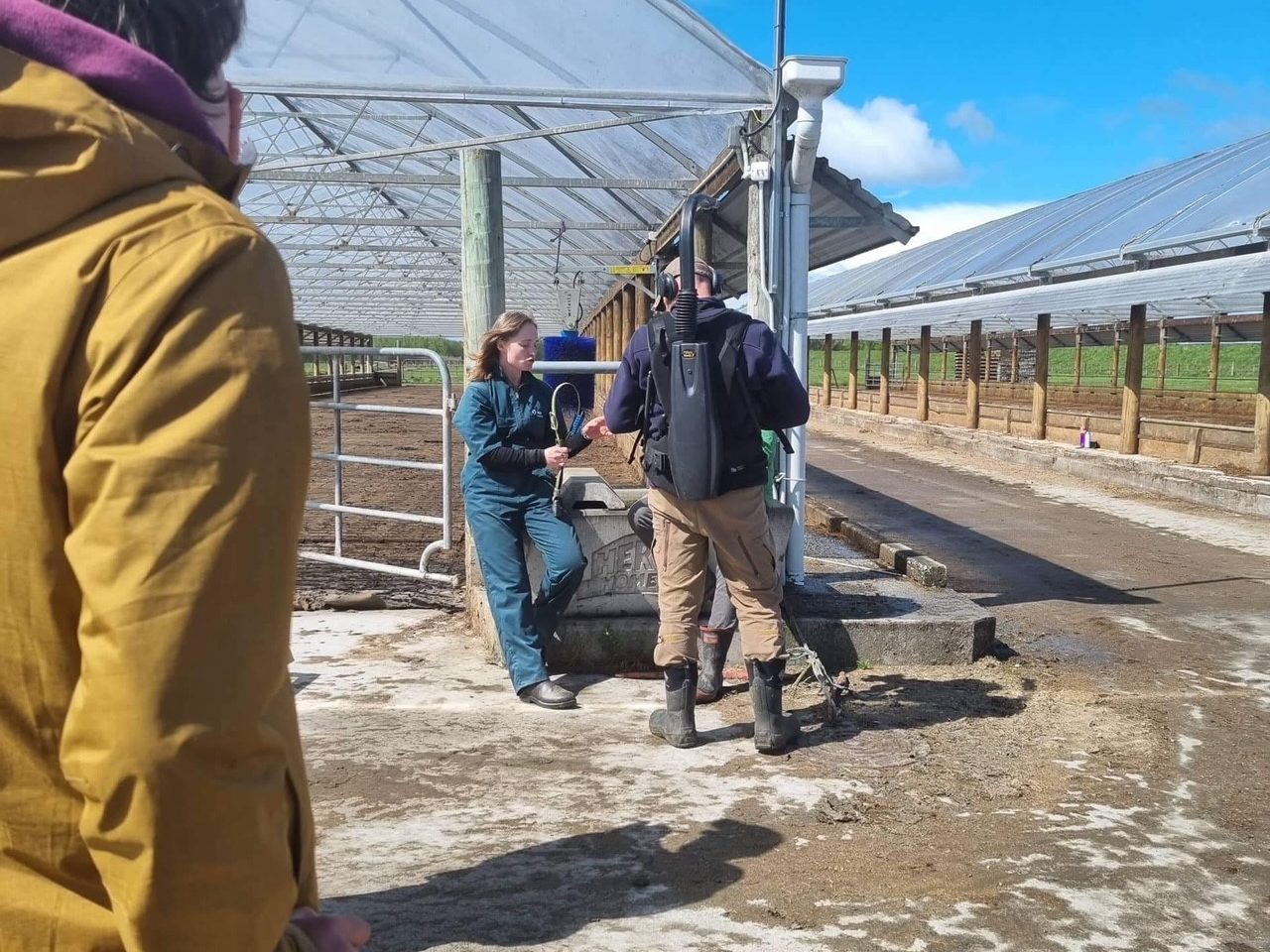 Levena Farm in Balclutha, filming our Country Living episode. 