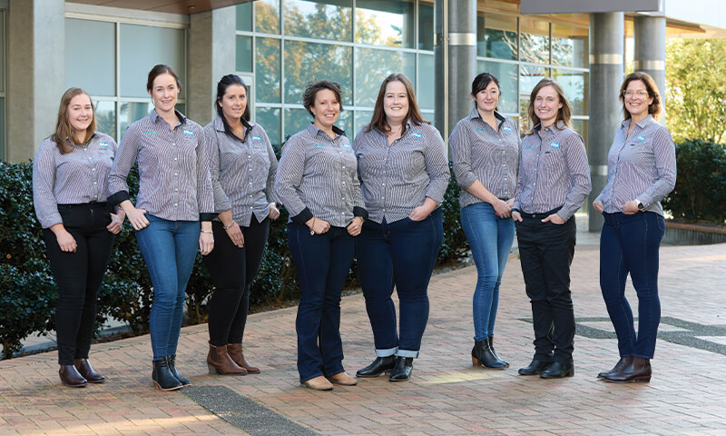 Sales Support Team