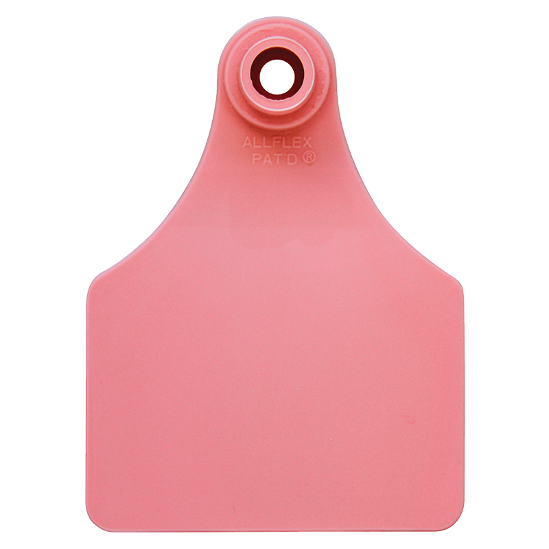Large Female Tag - Allflex