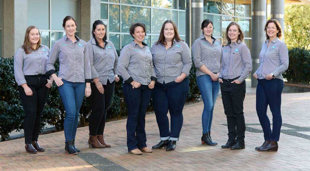 After sales support team. Training and tech support specialists