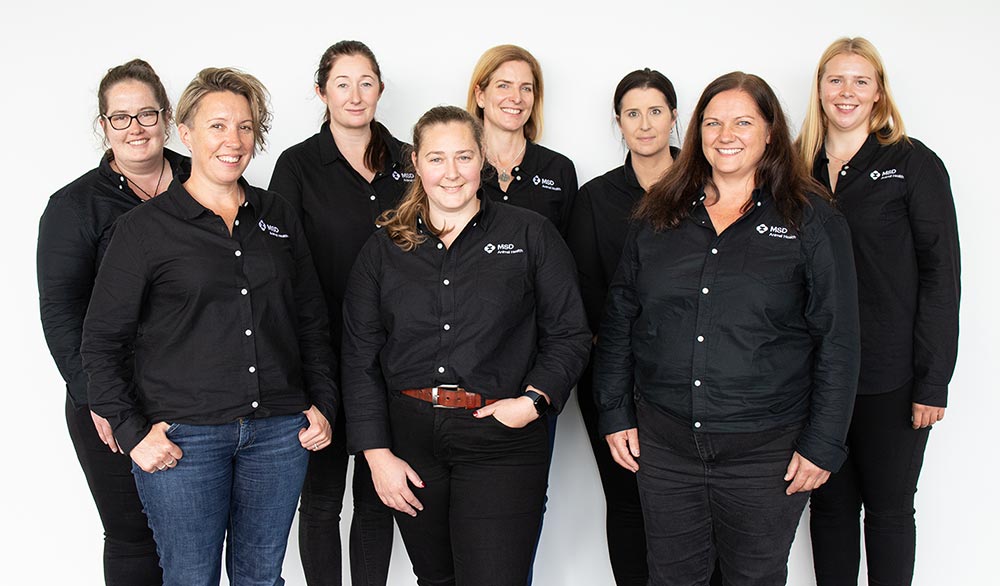 Allflex training and support specialists in New Zealand. 