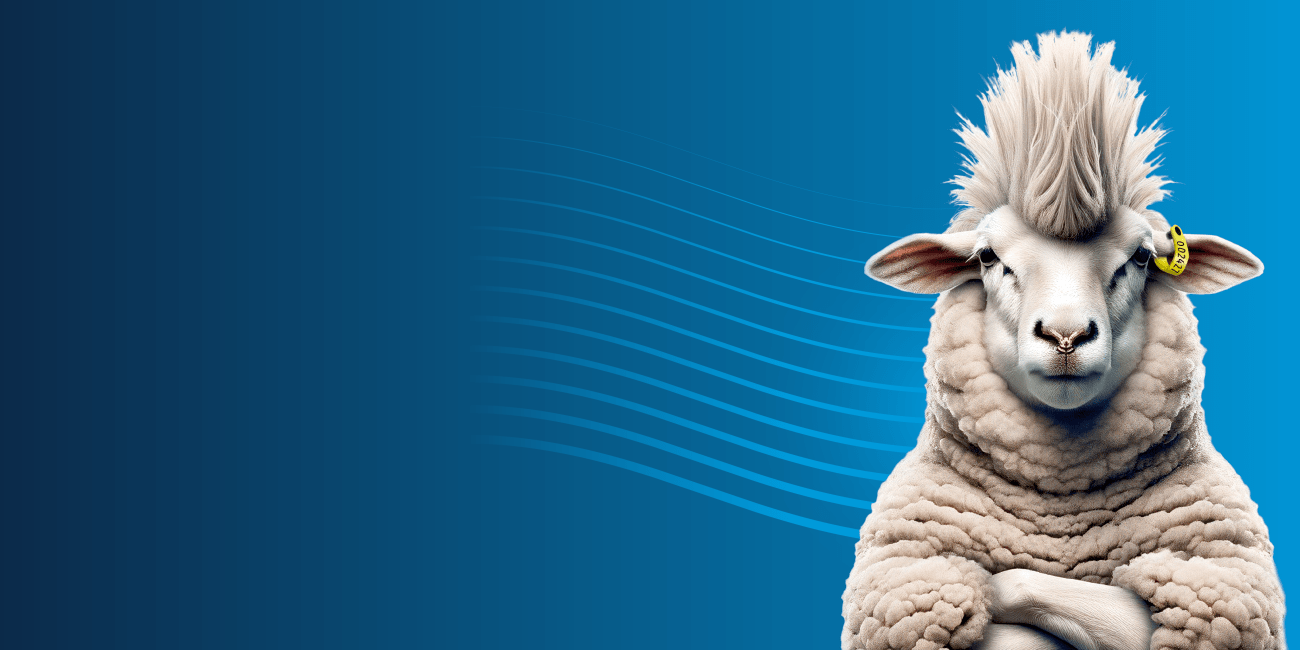 RapID Evo Punk Sheep Hero Image