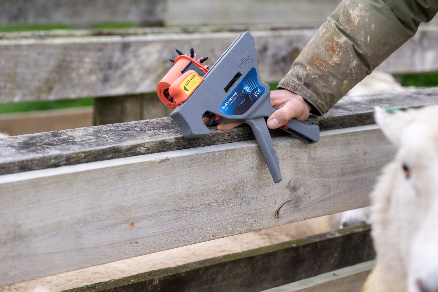 RapID Evo Applicator