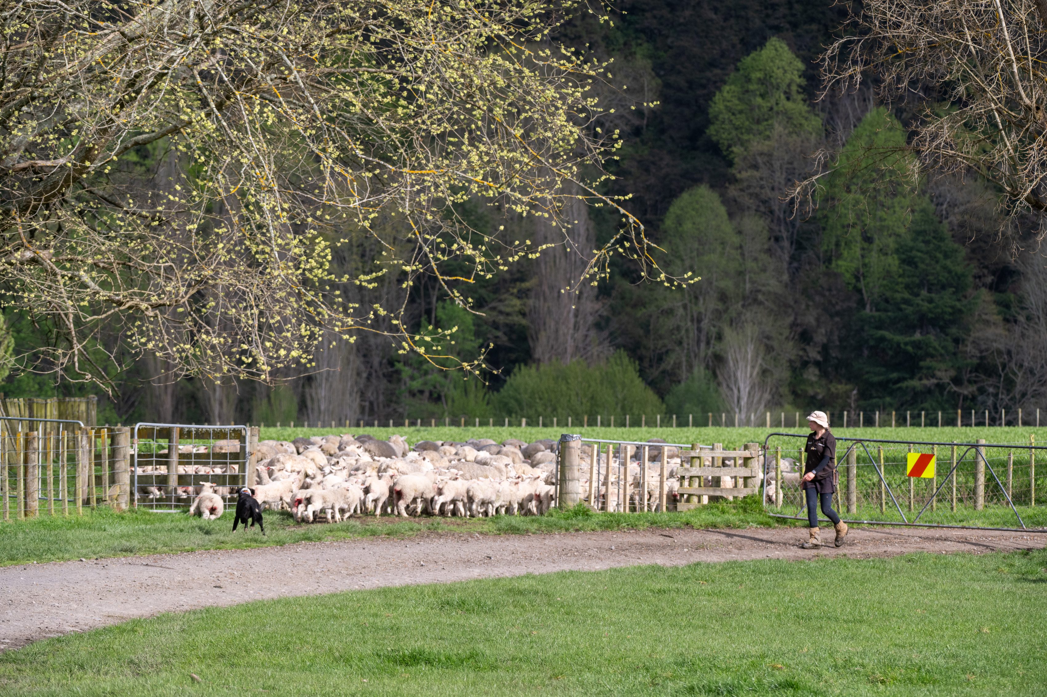 Danni and Norm Farmer Testimonial Allin Solutions