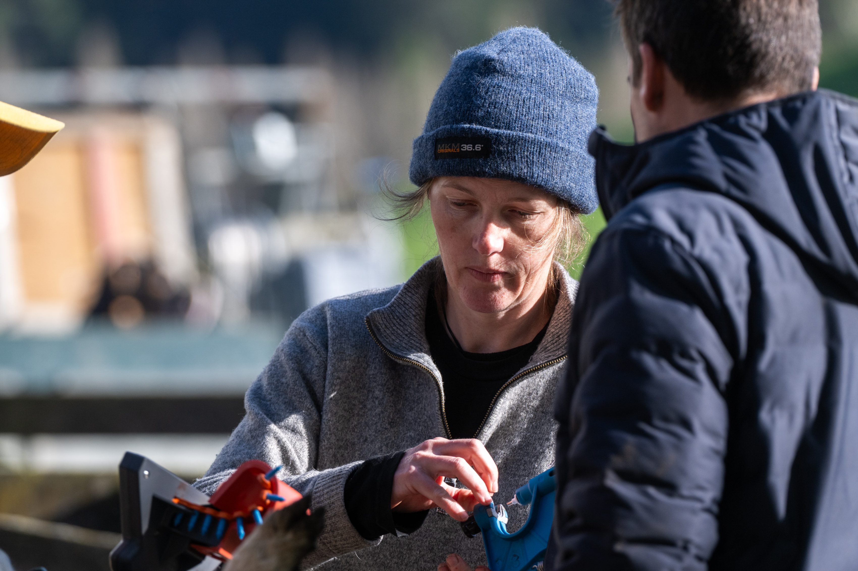 Danni - Waipuna farm